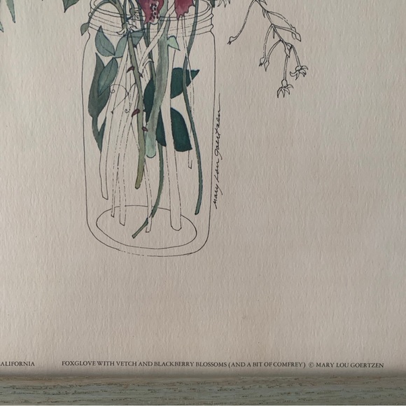 Mary Lou Goertzen Litho Foxglove,Vetch,Blackberry Blossoms/Comfrey 17”x13” - Picture 9 of 14